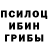 Галлюциногенные грибы GOLDEN TEACHER Absentiya Agro